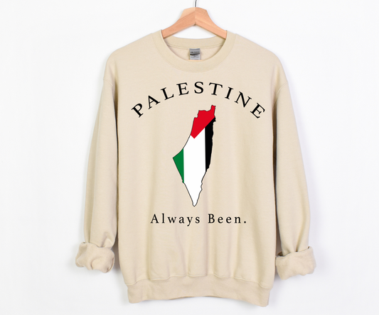 Palestine Always Been - adult